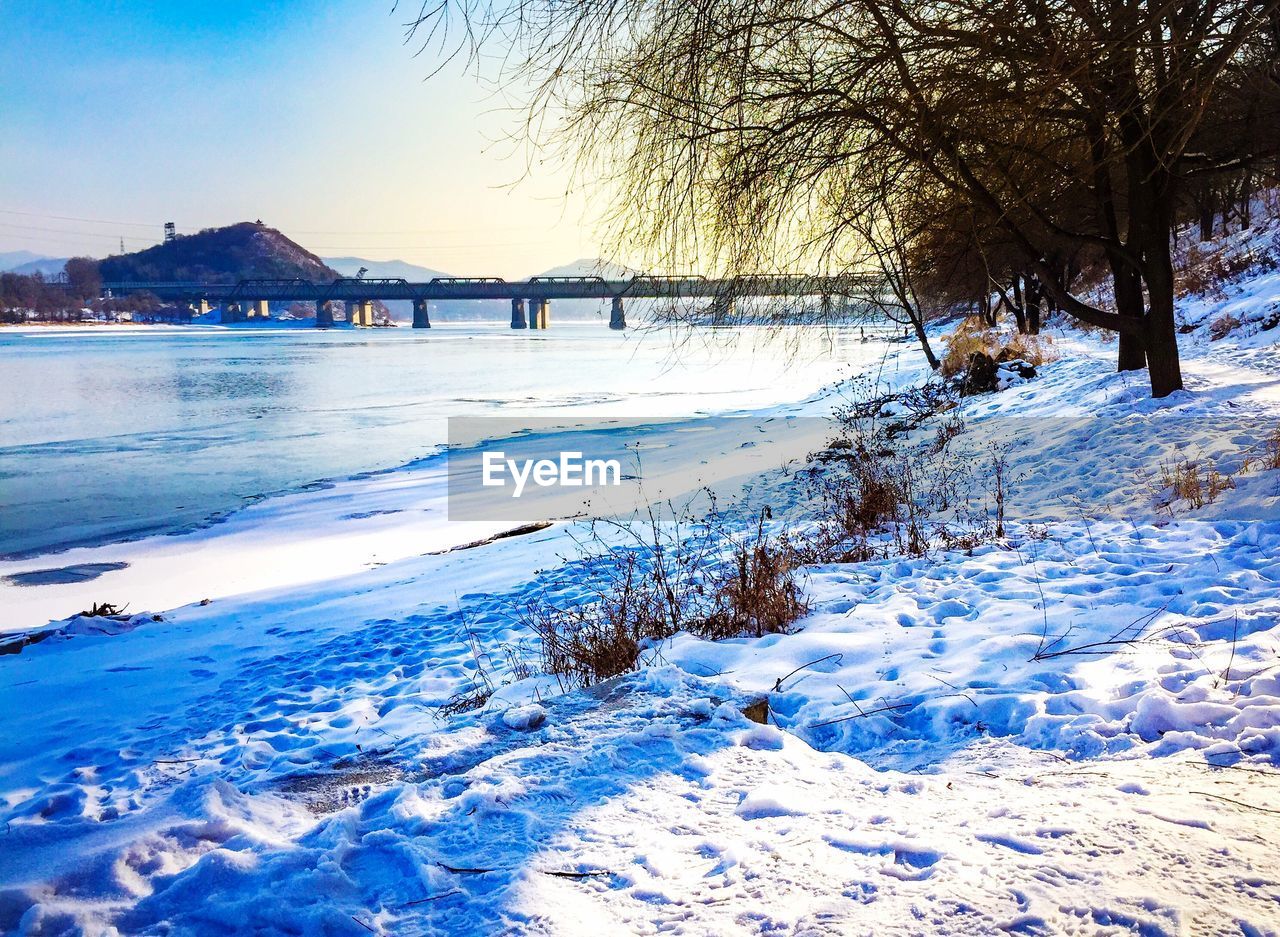 VIEW OF BARE TREES ON SNOW COVERED LAND