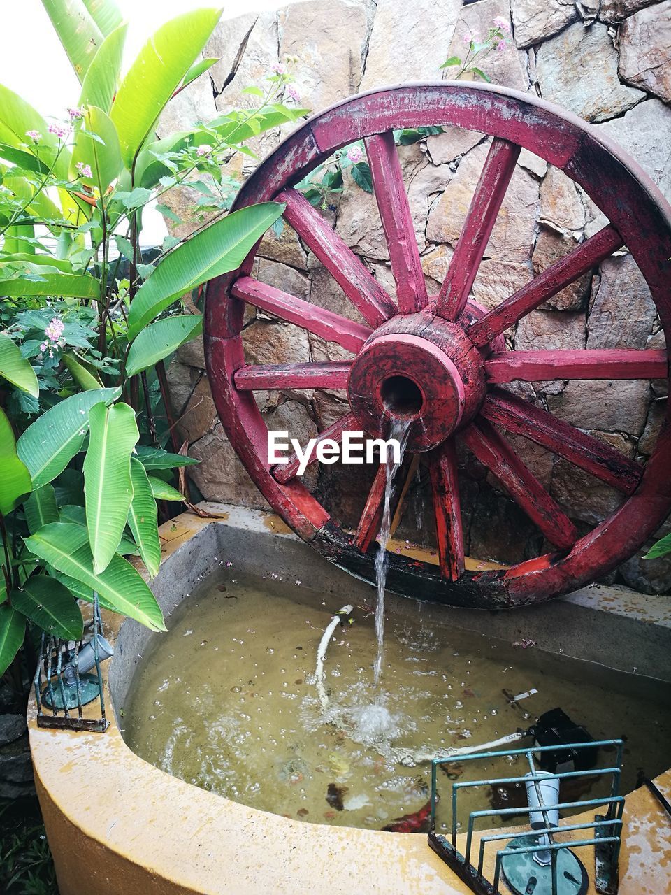 Close-up of water wheel against plants