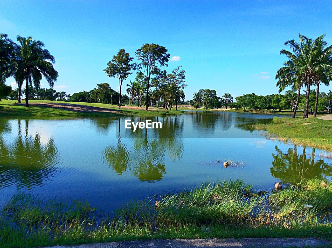 SCENIC VIEW OF CALM LAKE