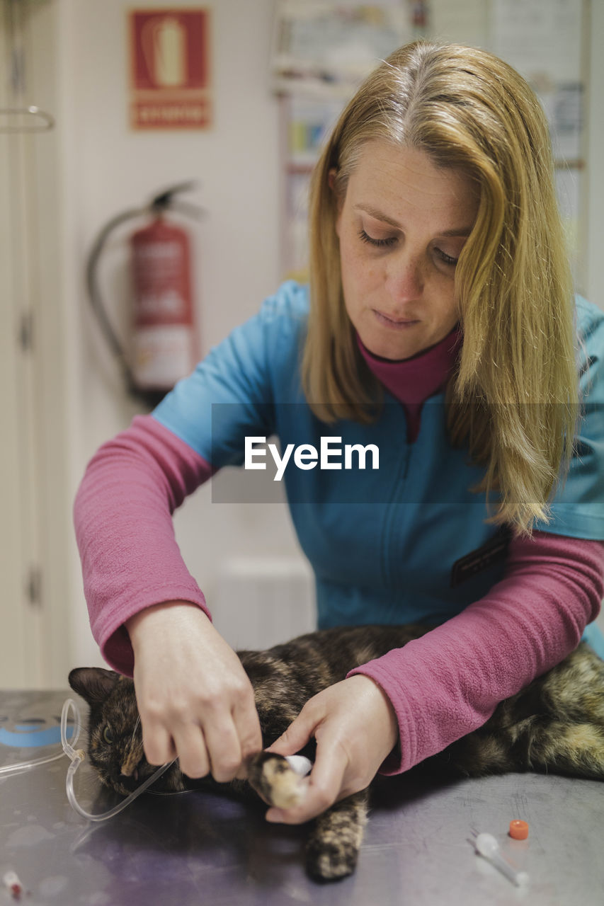 Professional veterinarian woman helping cat at table