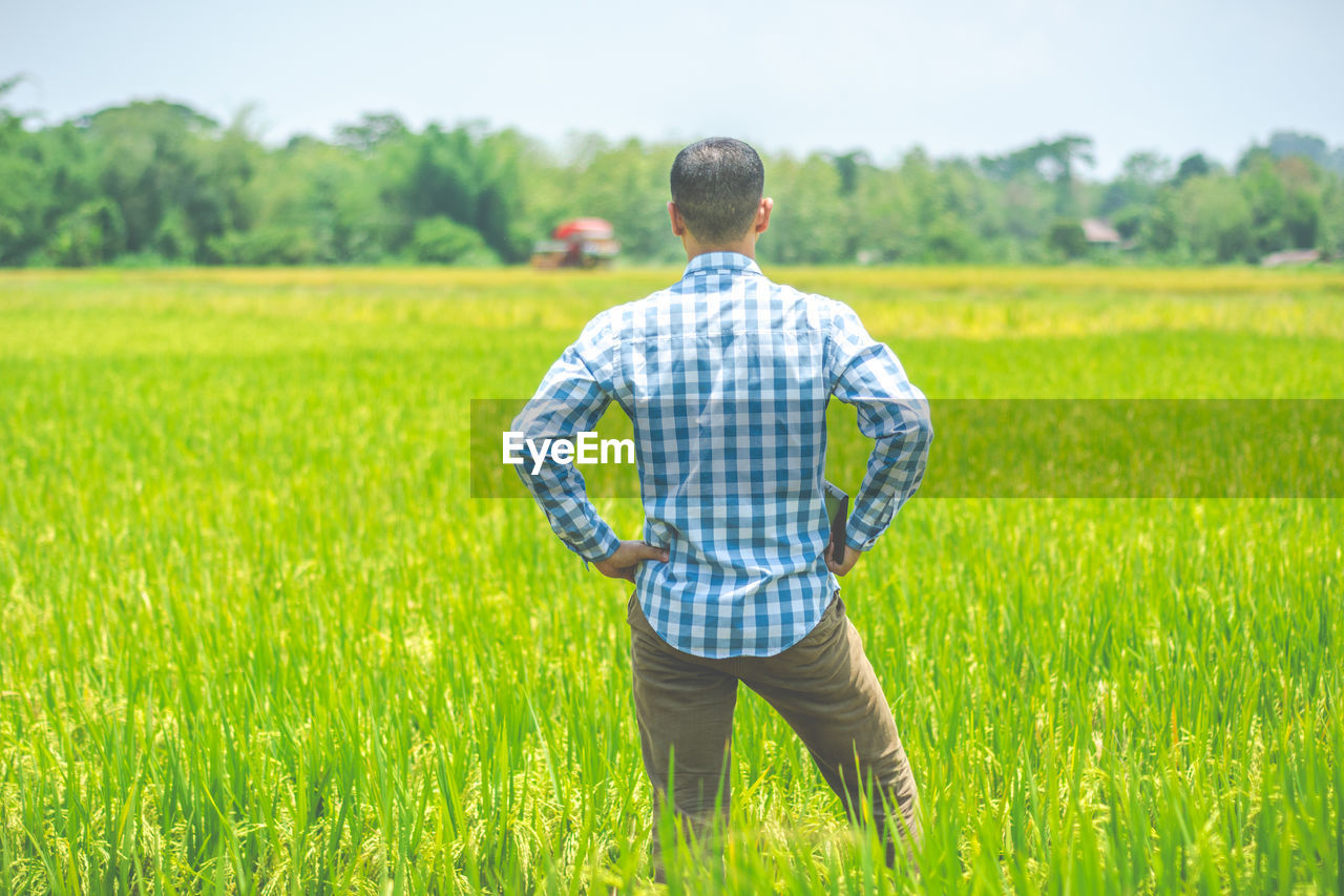 Rear view of man standing on field