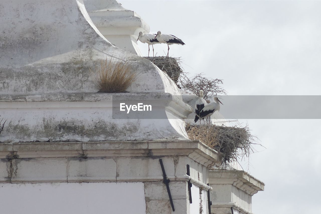 LOW ANGLE VIEW OF BUILDING ON ROOF AGAINST SKY