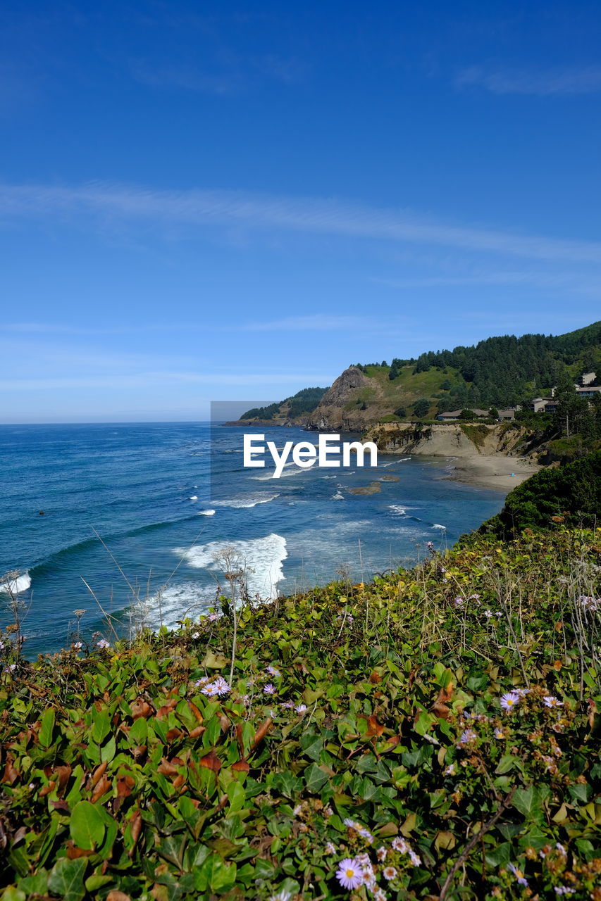 Scenic view of the pacific ocean against blue sky