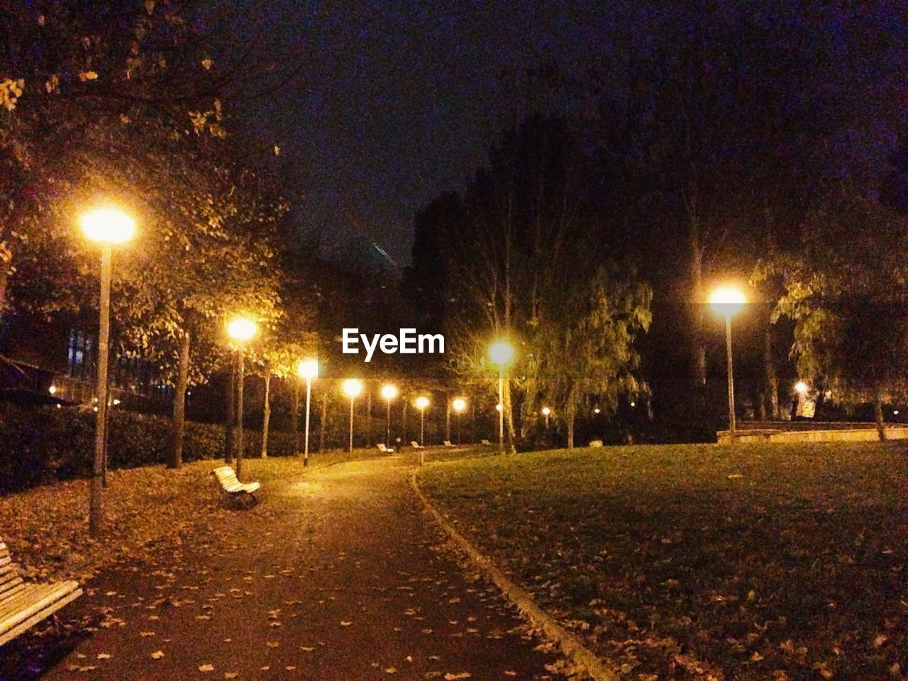 Empty park bench on illuminated walkway at night