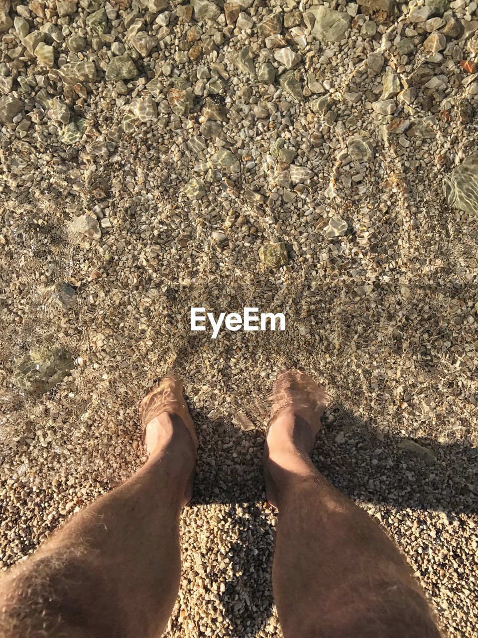 Low section of man standing at beach