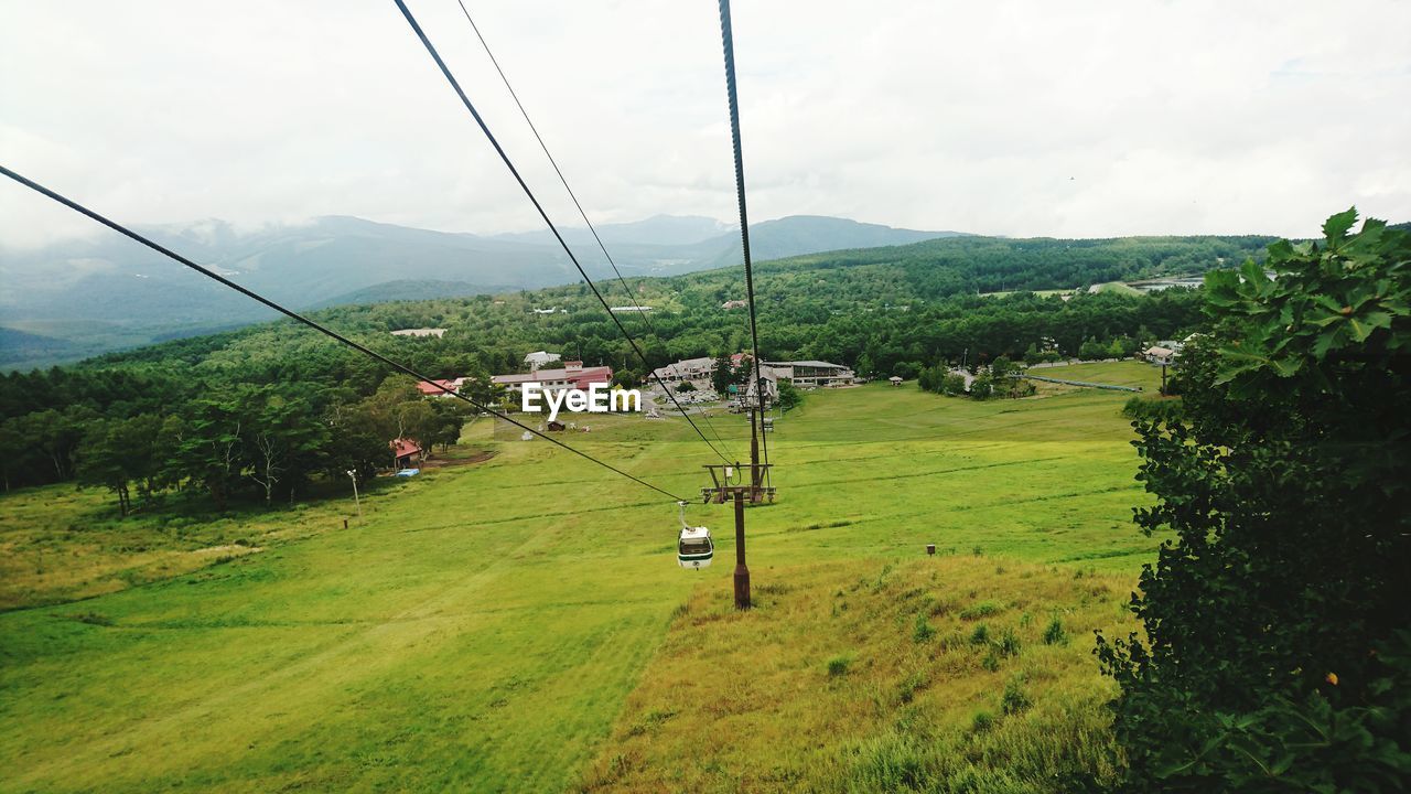 HIGH ANGLE VIEW OF TREES ON MOUNTAIN