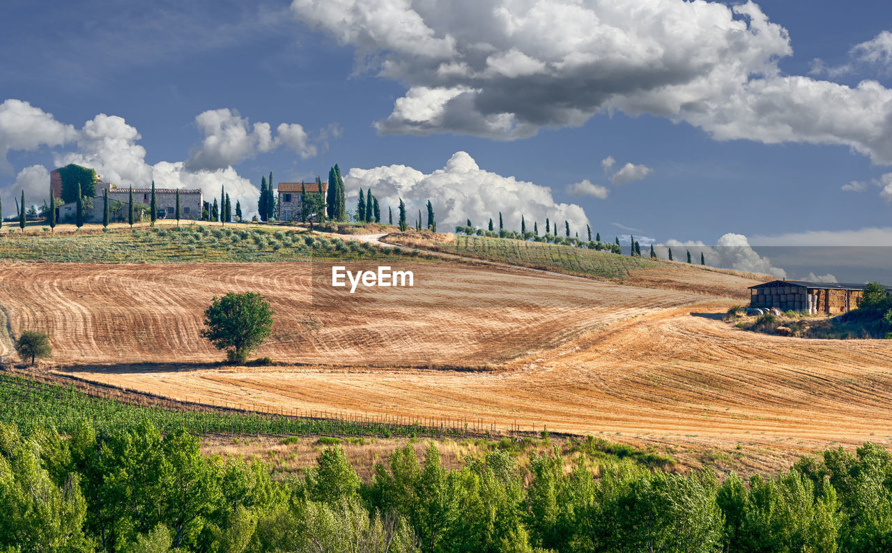 PANORAMIC SHOT OF FIELD AGAINST SKY