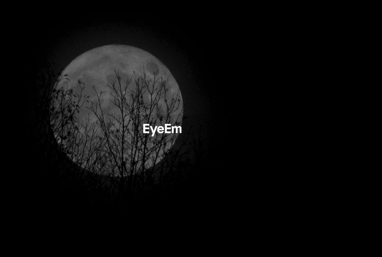 Low angle view of moon against clear sky at night