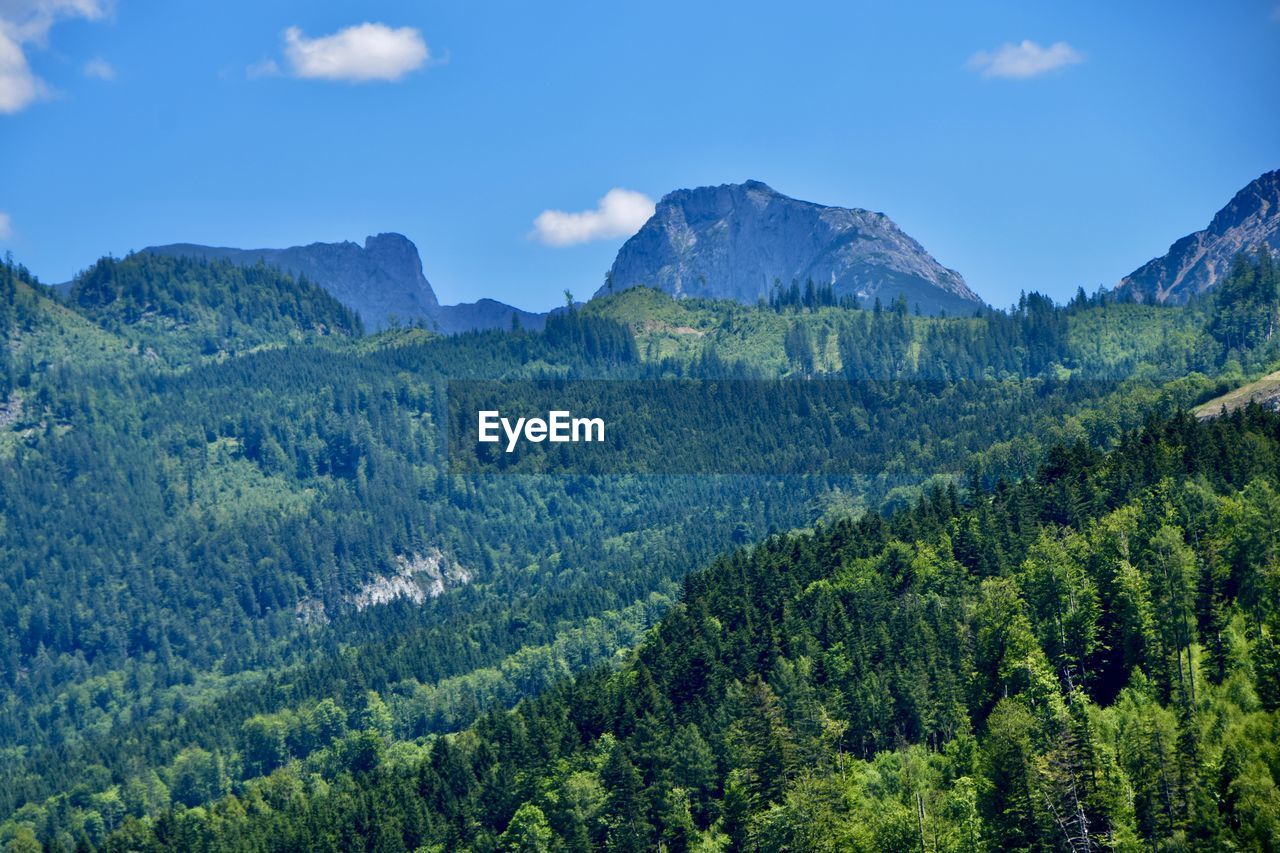 Scenic view of forests surrounded by mountains against sky