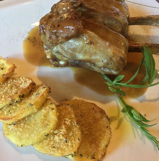 CLOSE-UP OF SERVED FOOD ON PLATE