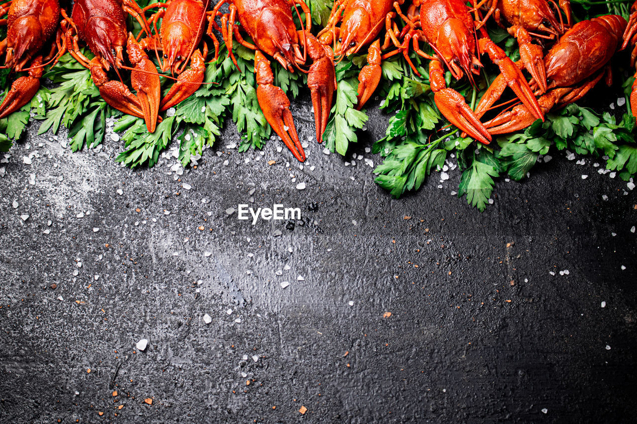 high angle view of seafood