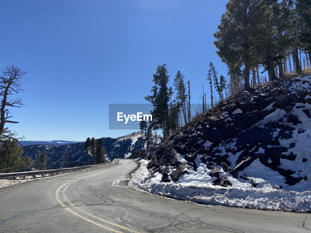 ROAD AMIDST TREES AGAINST BLUE SKY