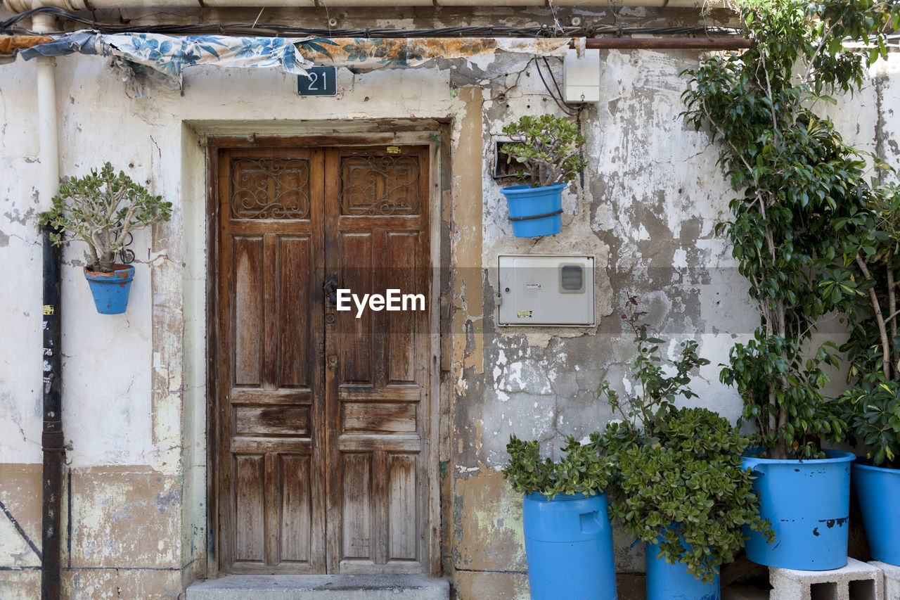 POTTED PLANTS AGAINST BUILDING