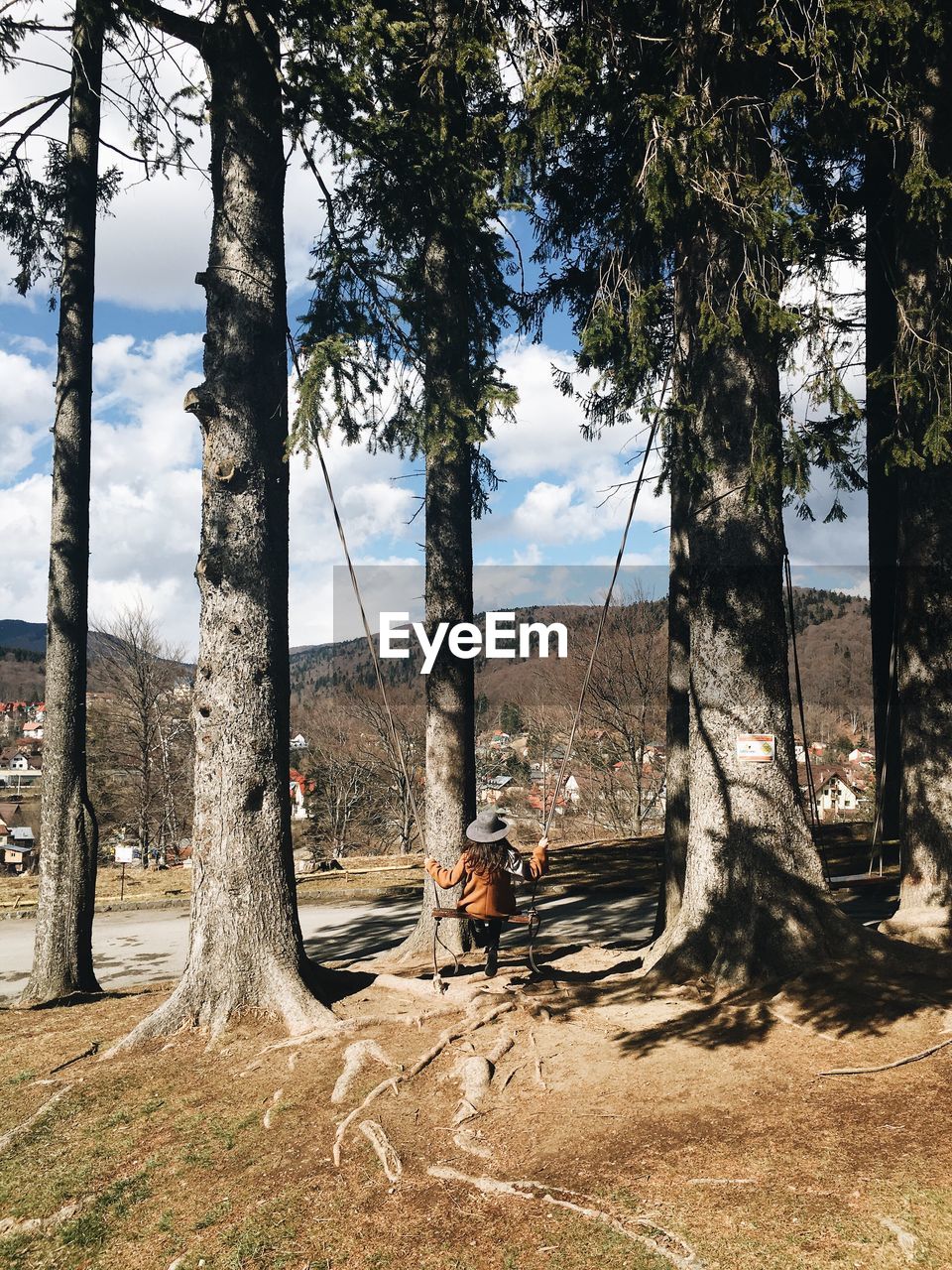 Girl on swing amidst trees during sunny day