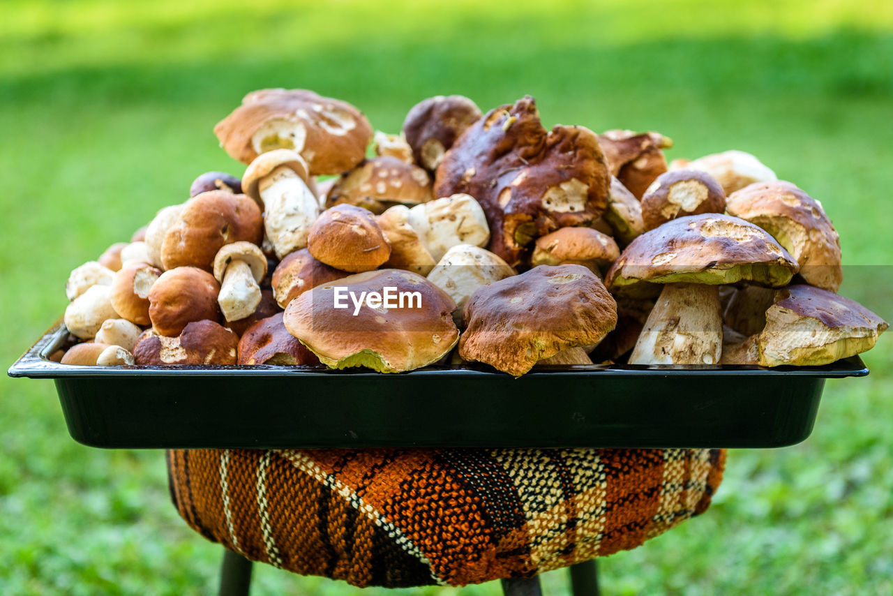 CLOSE-UP OF MUSHROOMS ON BARBECUE