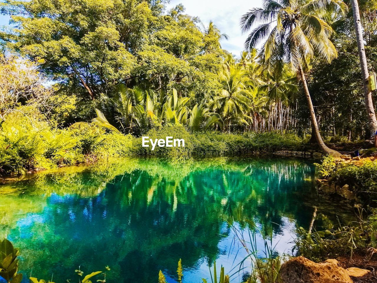 SCENIC VIEW OF LAKE