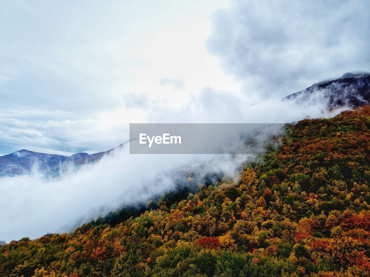 Dense fog rises over autumn landscape