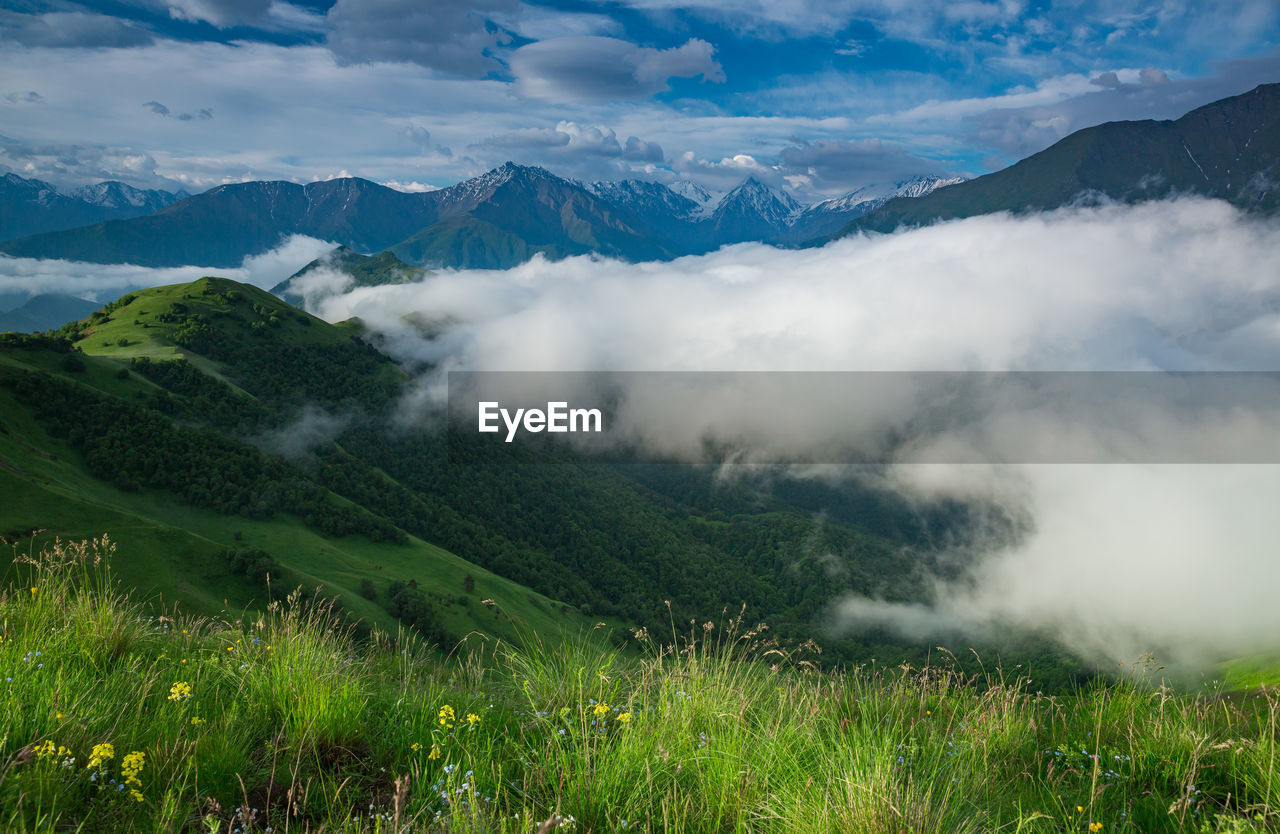 Alpine meadows and fog in mountainous chechnya in the caucasus