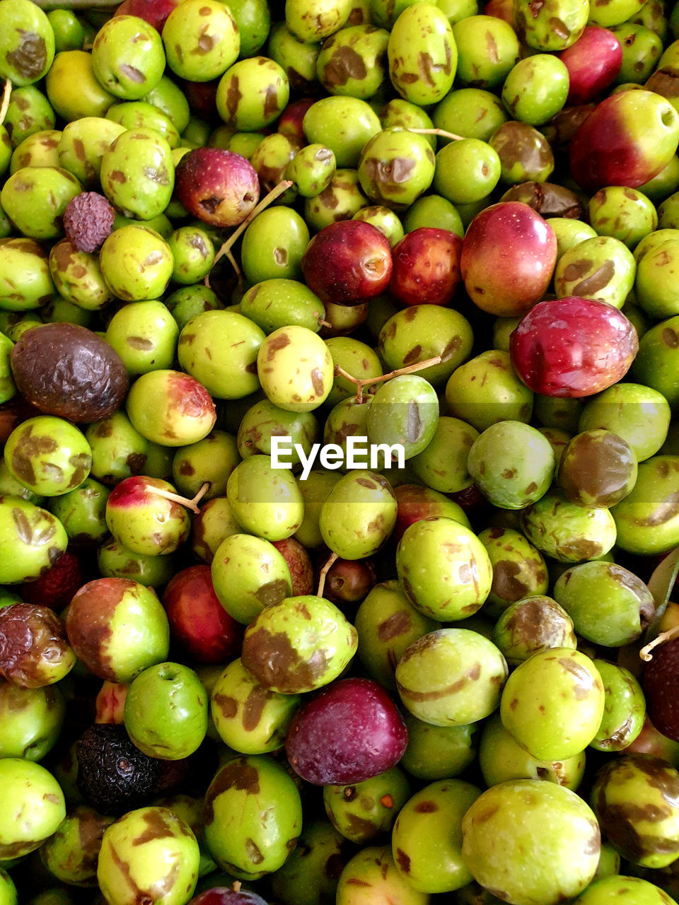 Full frame shot of fresh picked olives 