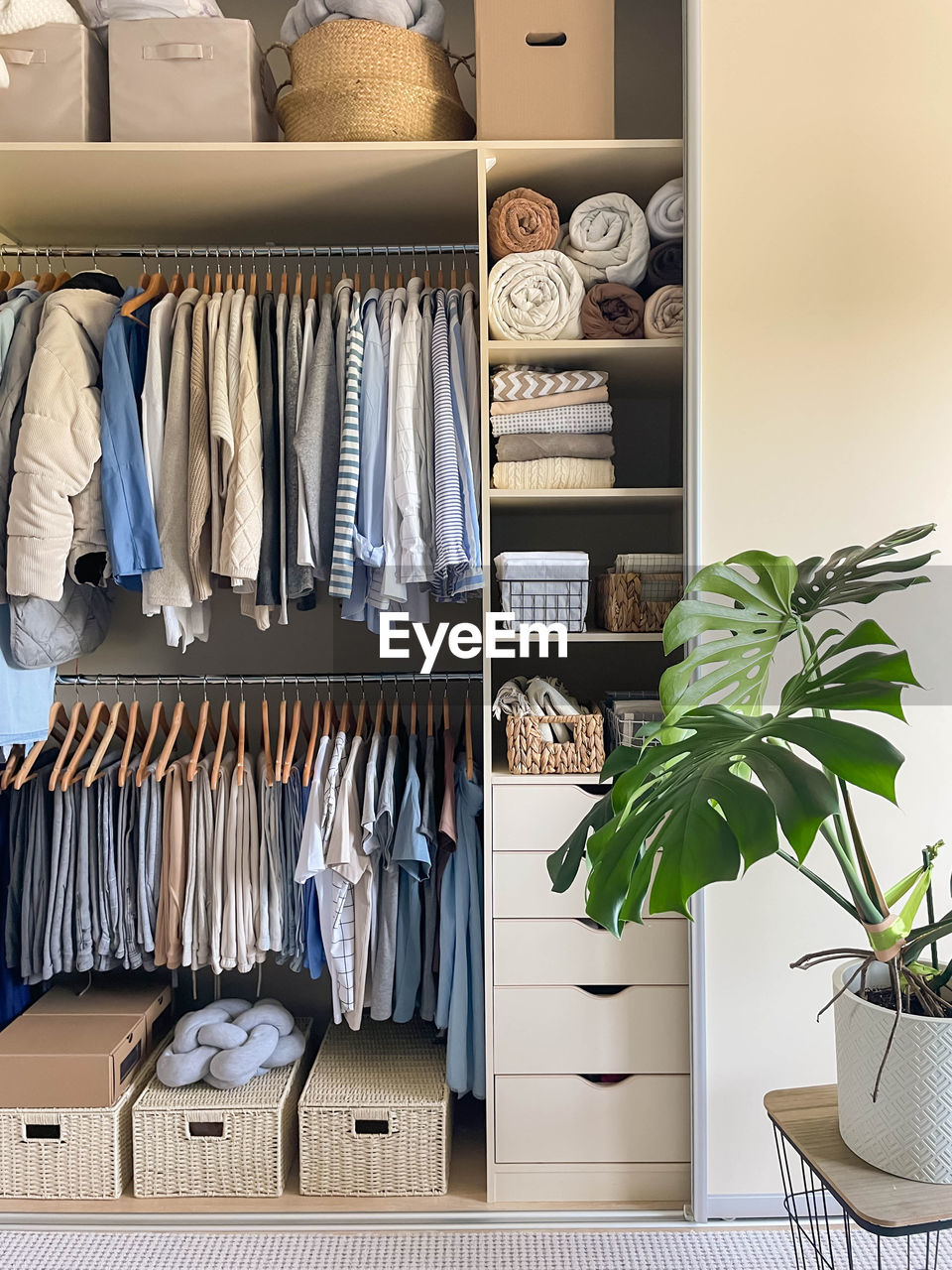 close-up of clothes hanging at home