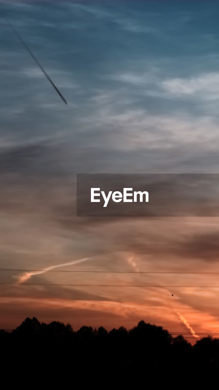 LOW ANGLE VIEW OF SILHOUETTE TREES AGAINST ORANGE SKY