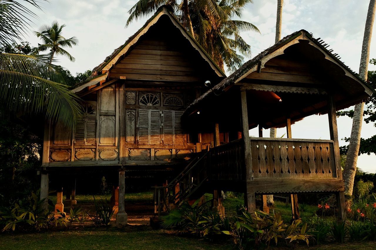 House against palm trees and sky