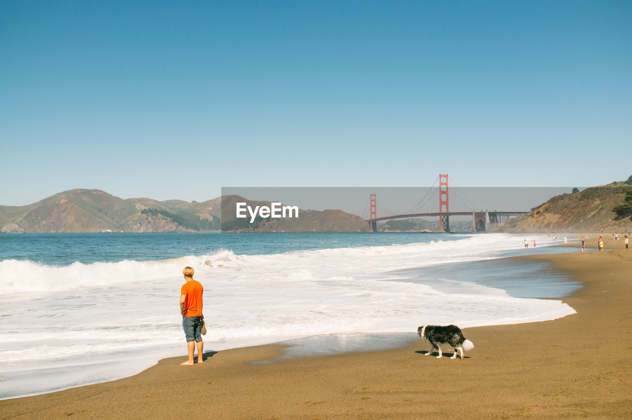 Full length of man with dog standing on beach by golden gate bridge against clear blue sky