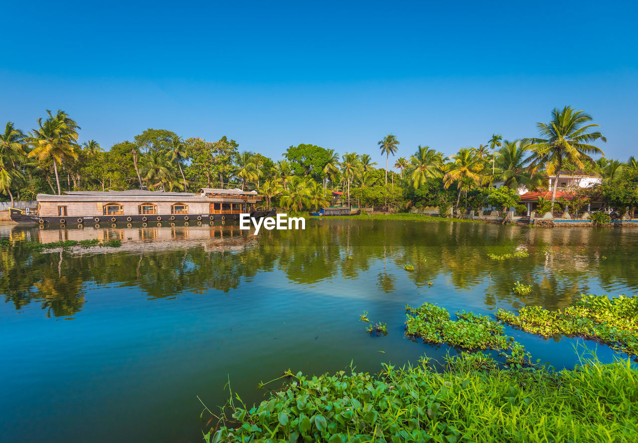 Reflection of palm trees in lake against blue sky