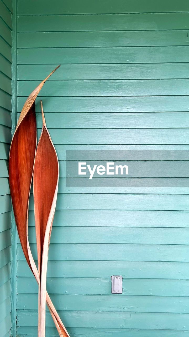 blue, wood, no people, wall - building feature, red, shutter, architecture, line, window covering, day, green, built structure, hanging, surfing equipment, striped