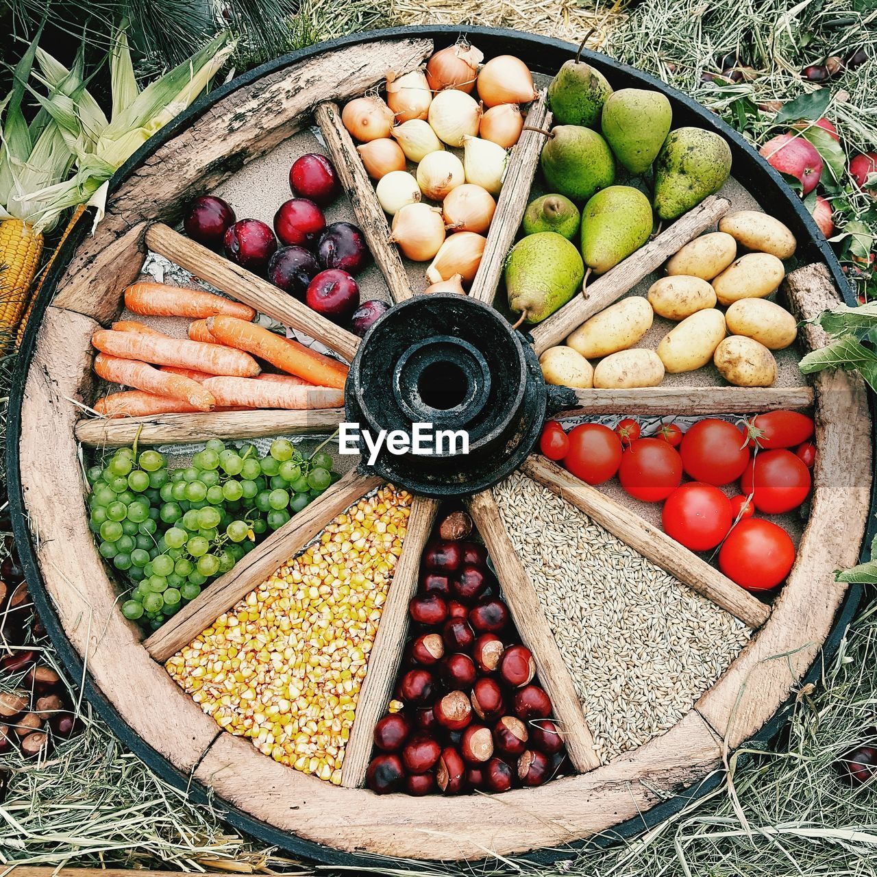 HIGH ANGLE VIEW OF FRUITS IN PLATE