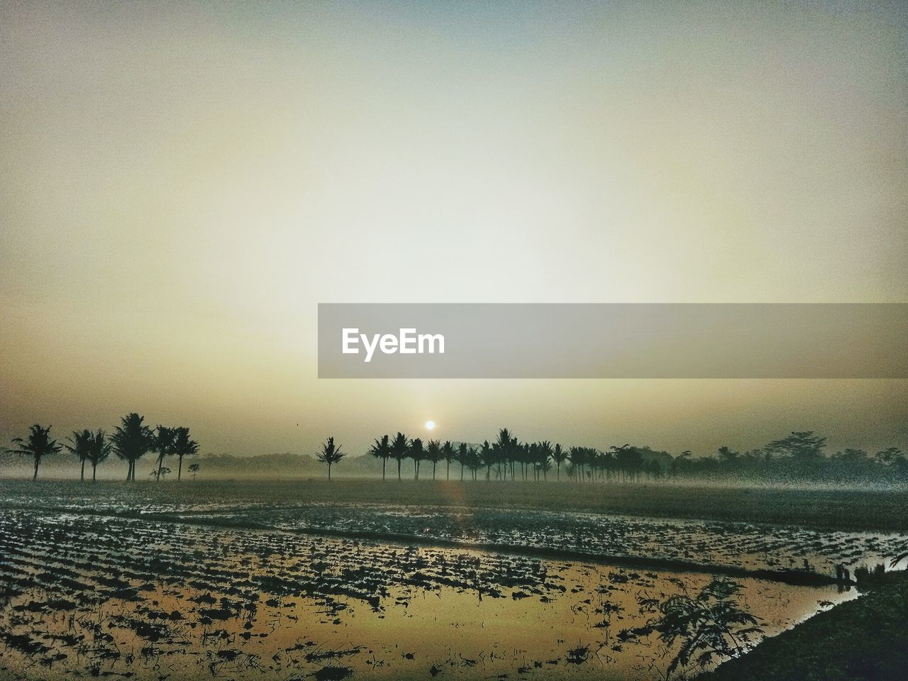 SCENIC VIEW OF BEACH AGAINST CLEAR SKY