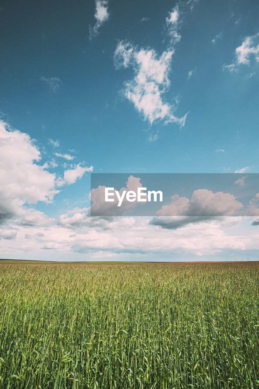 SCENIC VIEW OF FIELD AGAINST CLOUDY SKY