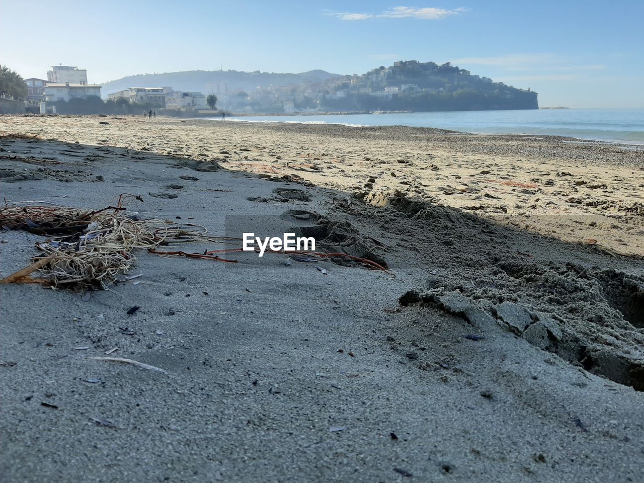 SURFACE LEVEL OF DRIFTWOOD ON BEACH