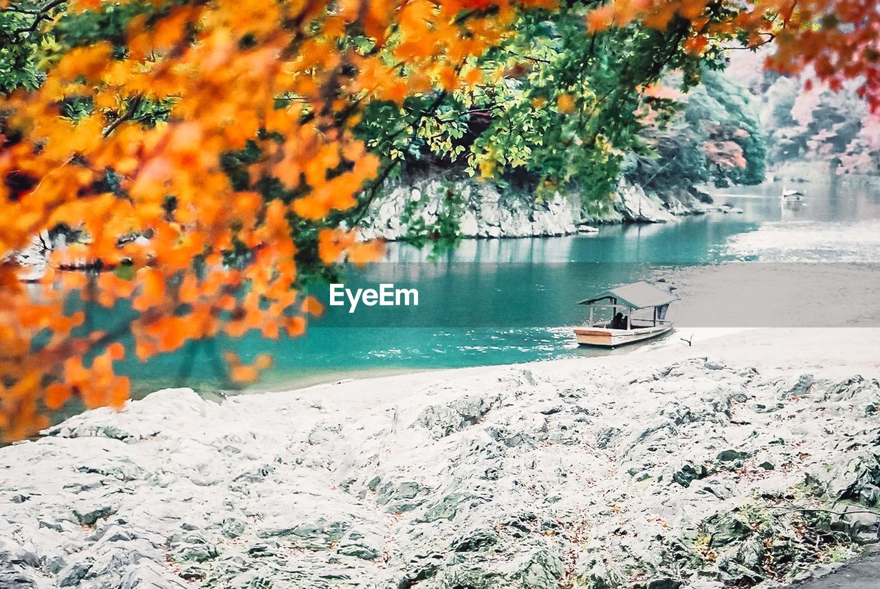 SCENIC VIEW OF LAKE AMIDST TREES