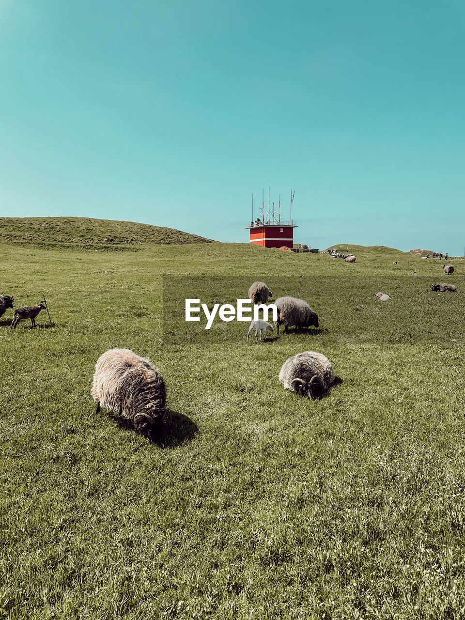 Scenic view of farm against sky