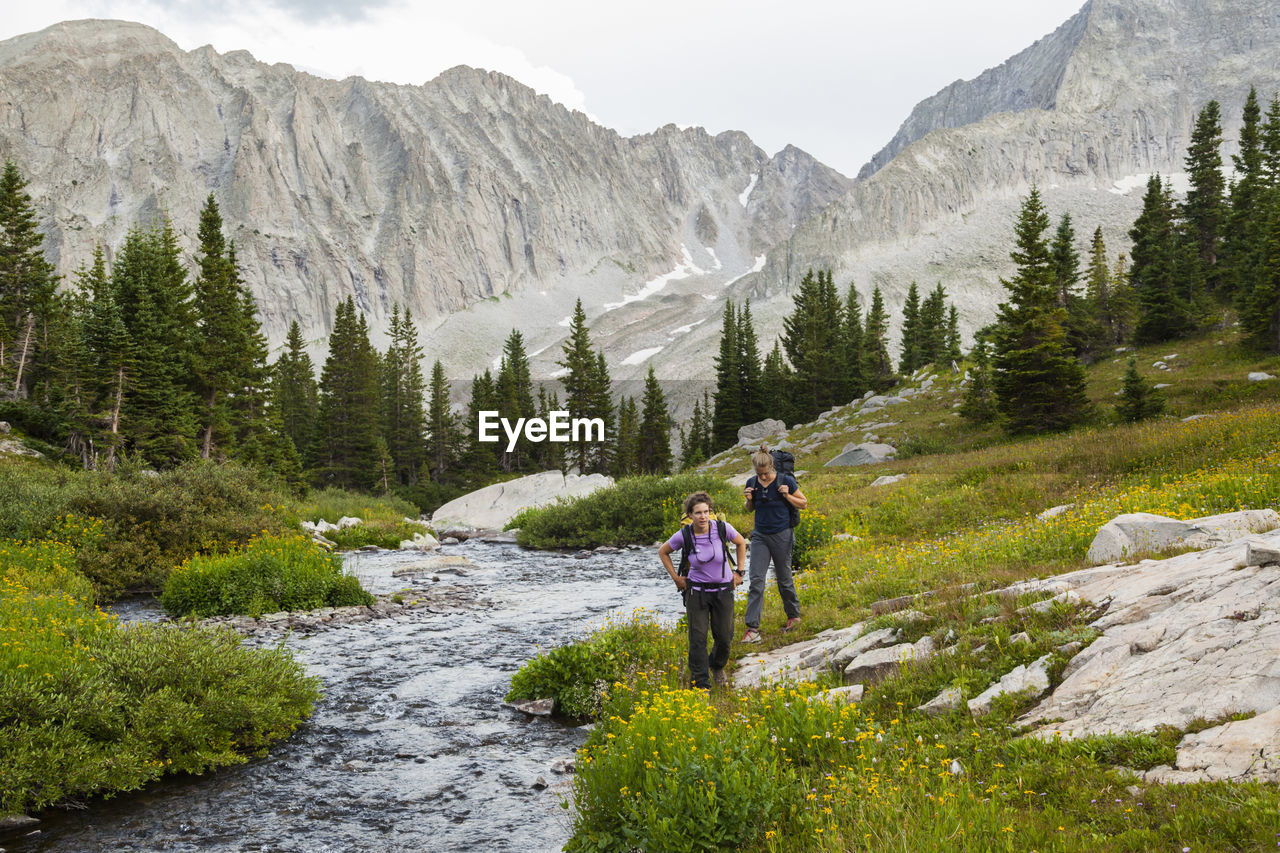 Women hike up creek, meadow to pierre lakes, elk mountains, colorado