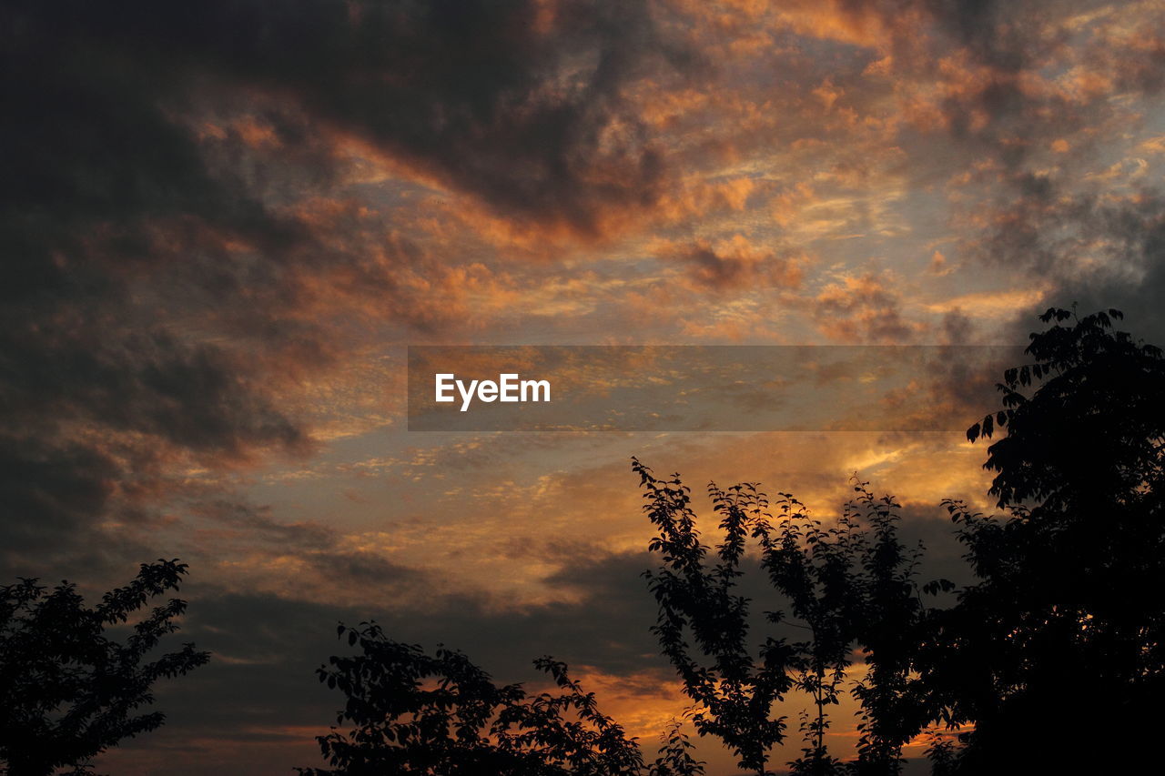 Low angle view of silhouette trees against orange sky