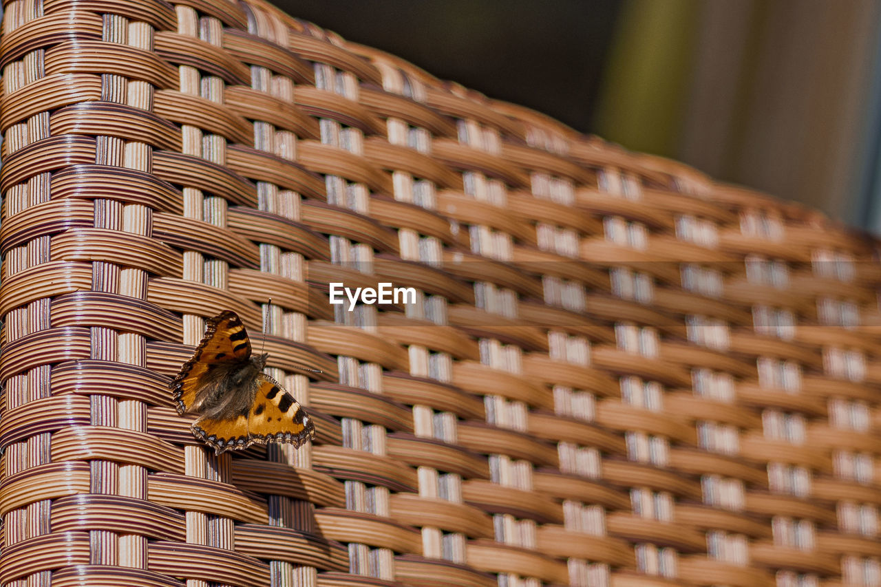 Close-up of a basket of a building with butterfly