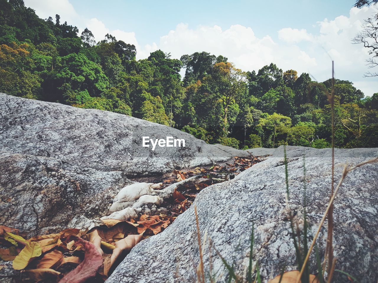 Scenic view of rocks by trees against sky