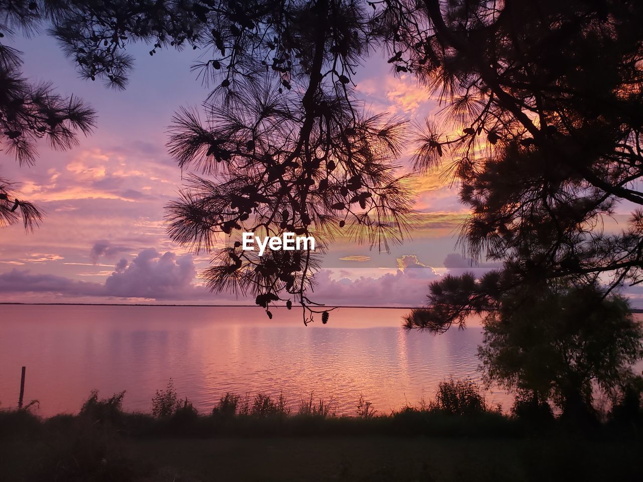 SILHOUETTE TREES BY LAKE AGAINST SKY AT SUNSET