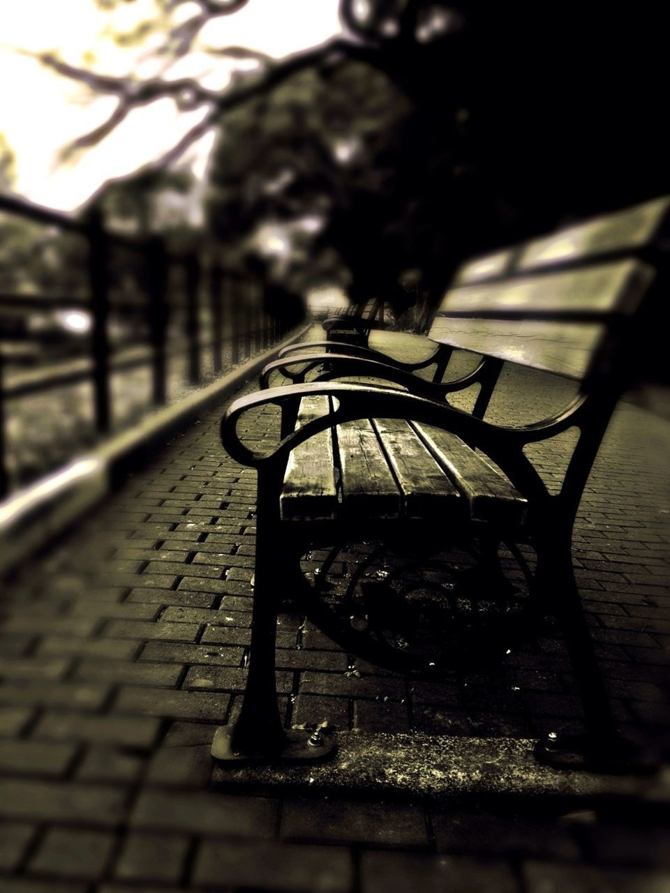 EMPTY BENCHES IN PARK