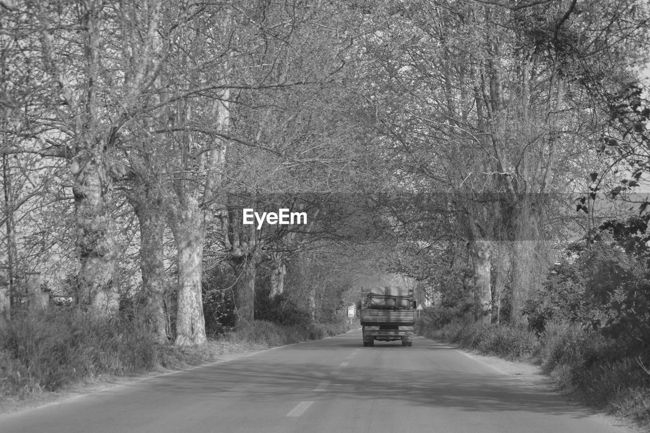 ROAD AMIDST TREES DURING WINTER SEASON