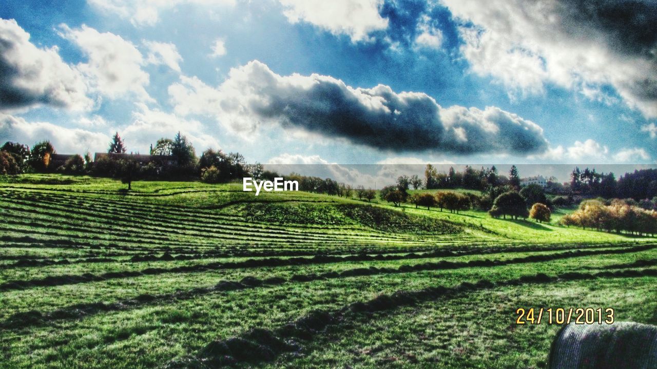 Scenic view of grassy field against cloudy sky