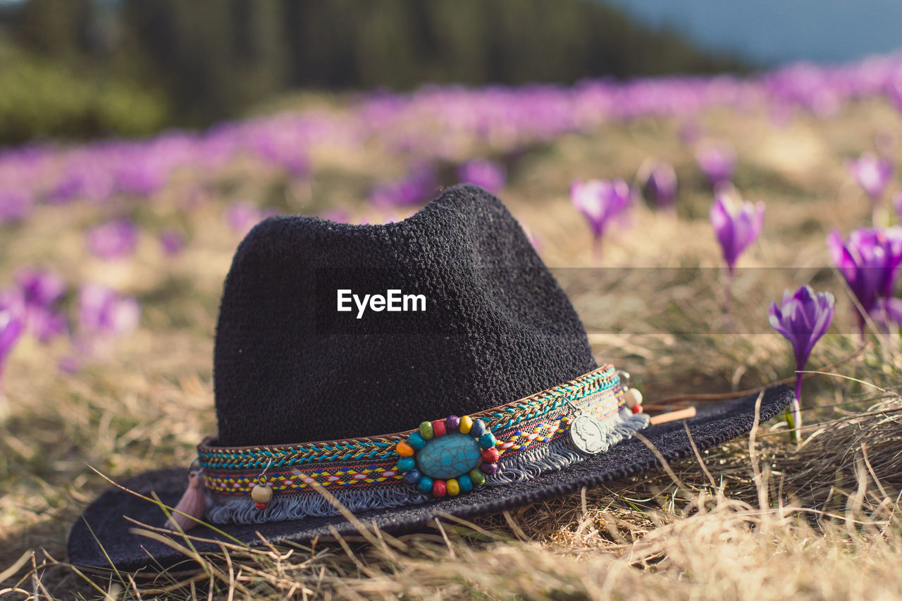 Close up knit fedora hat on early flowers grass meadow concept photo