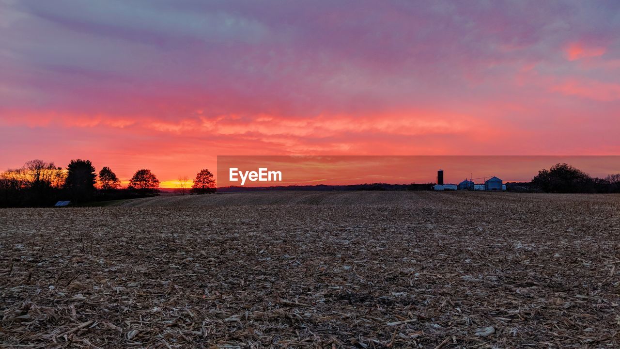 SCENIC VIEW OF AGRICULTURAL FIELD AGAINST SKY DURING SUNSET