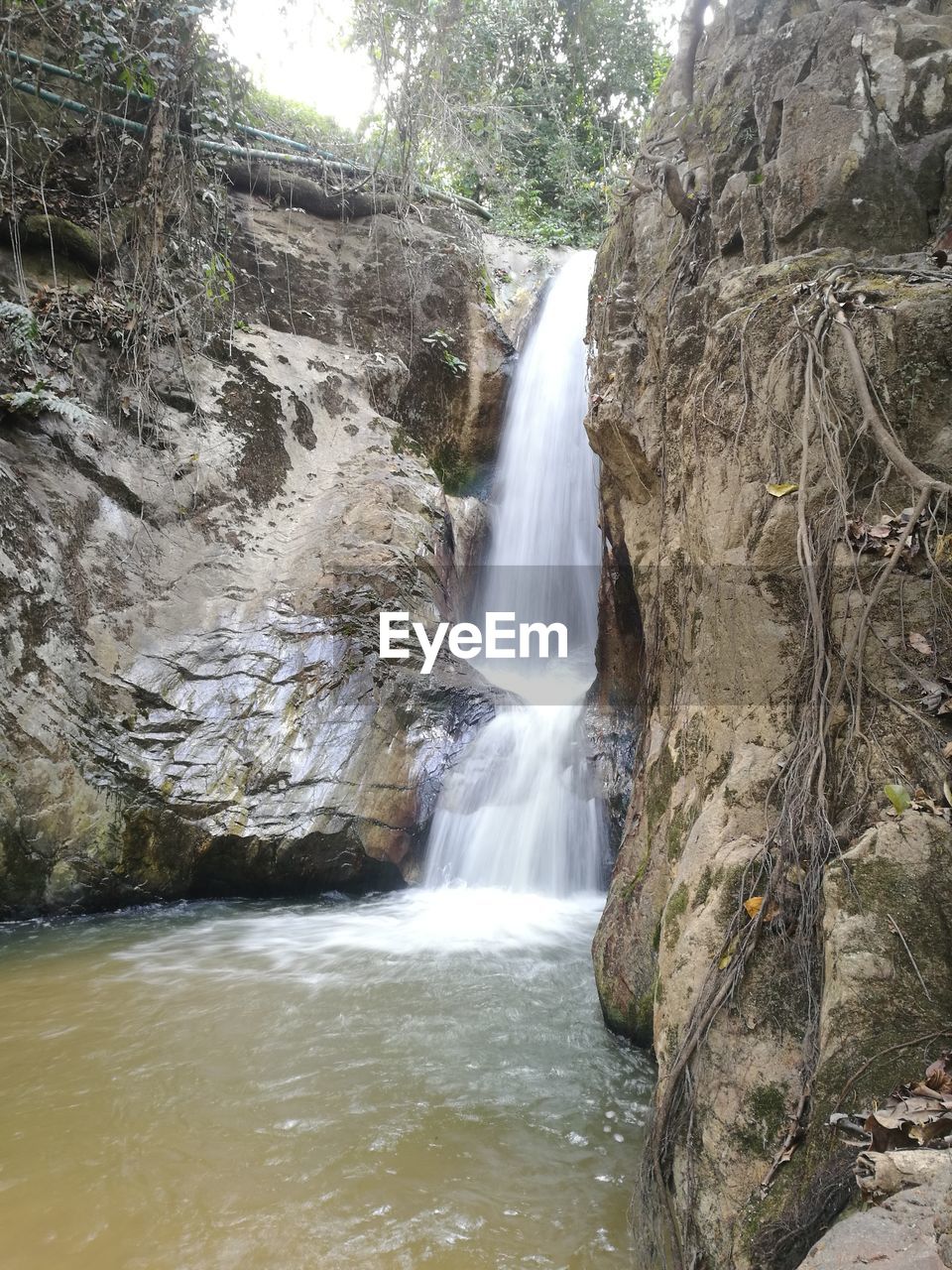 WATERFALL IN FOREST