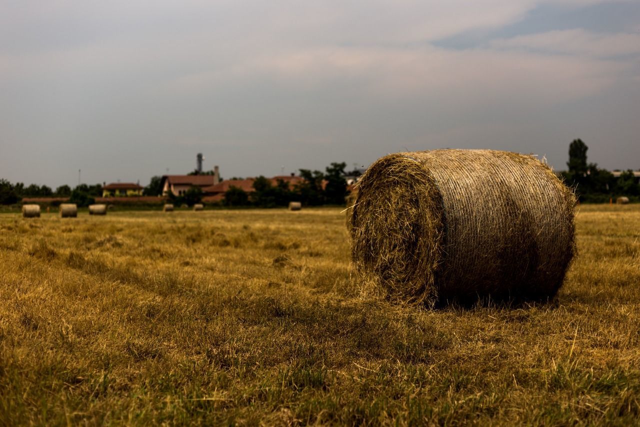 Hay bales on field against sky