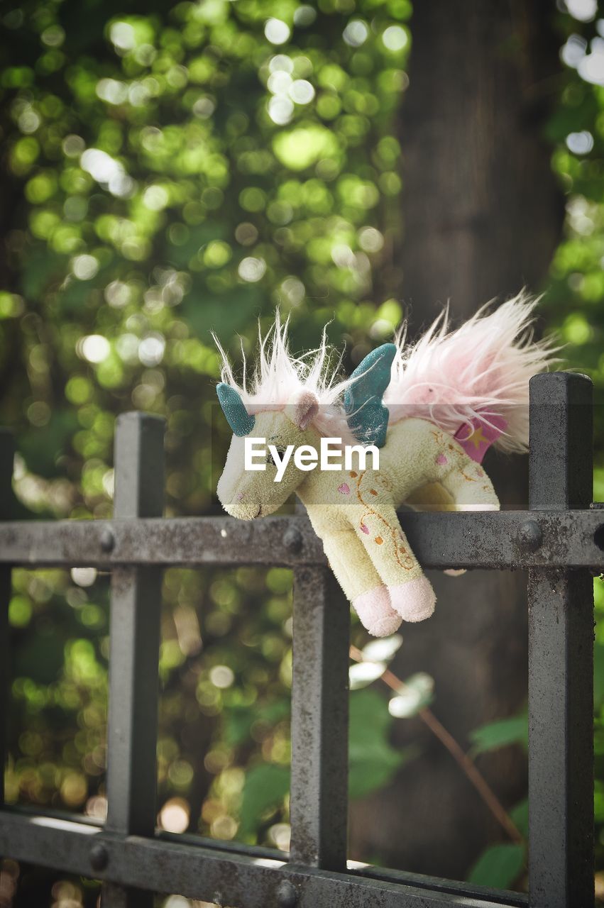 CLOSE-UP OF BIRD PERCHING ON A FENCE WITH TOY