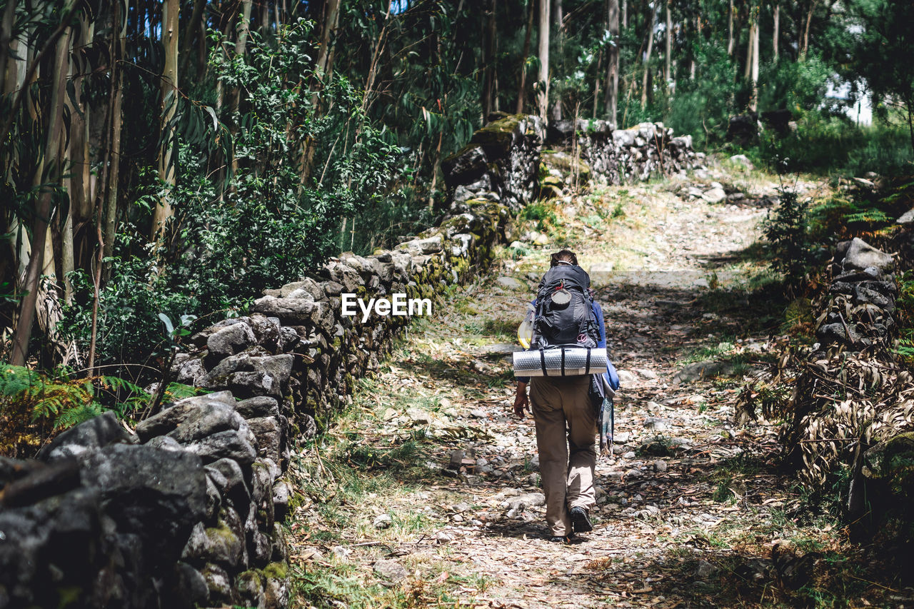 Rear view of person hiking on footpath in forest