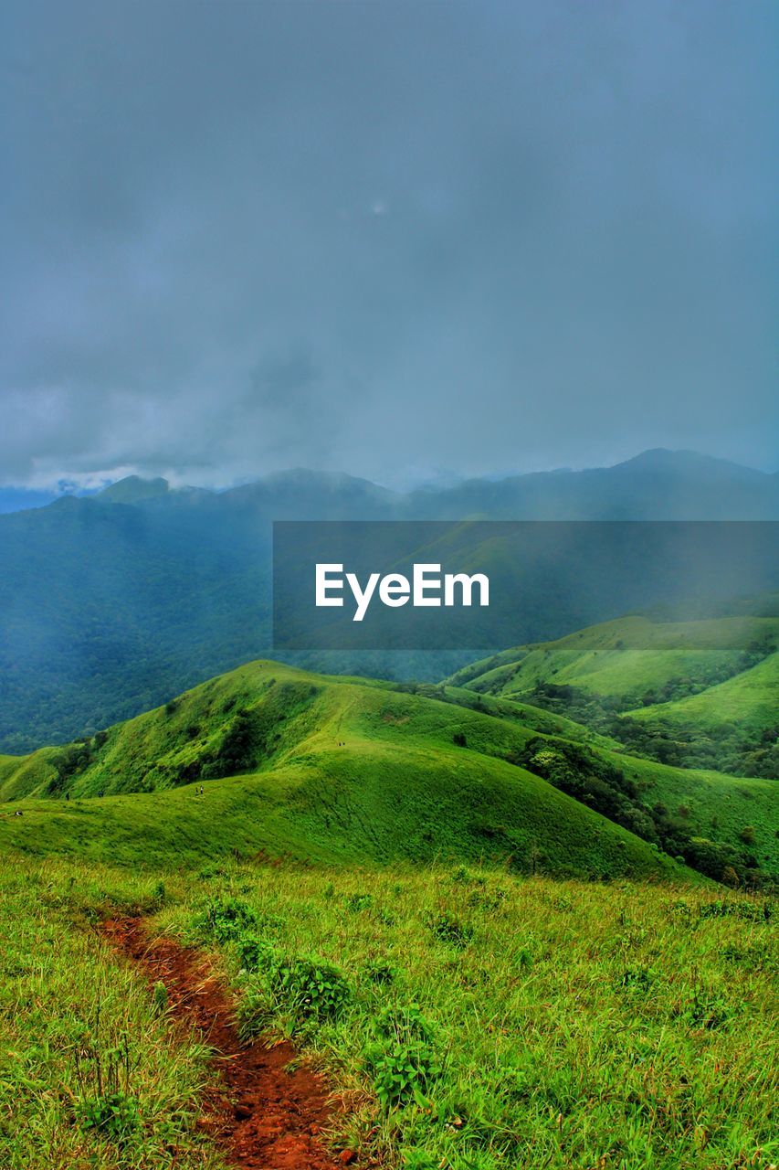 IDYLLIC SHOT OF GREEN LANDSCAPE AGAINST SKY